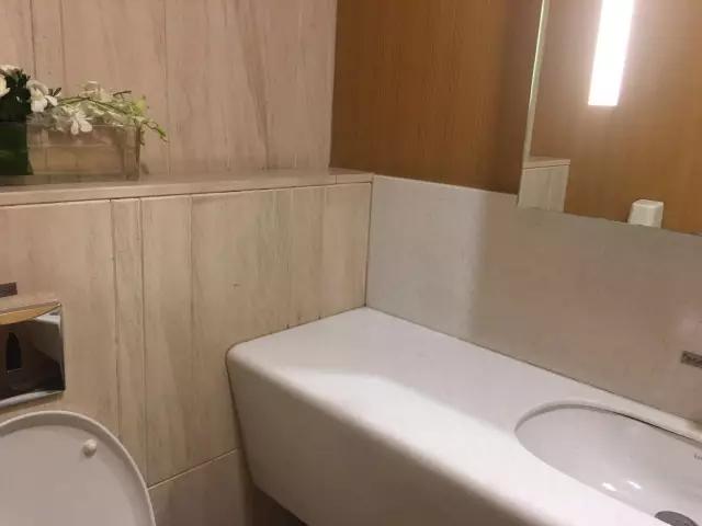 蹲坑冲水阀说明书,最好的蹲坑推荐