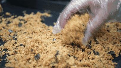 鲍师傅和海底捞,鲍师傅海底捞