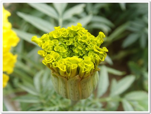 直系亲属去世后五大禁忌,亲属死后有什么禁忌