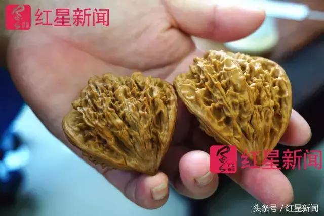 真相调查：文玩核桃再步玛卡后尘？从几万元一对到5元没人要？