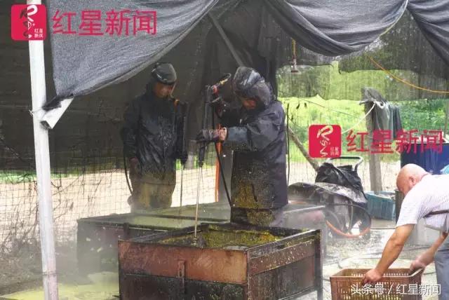 真相调查：文玩核桃再步玛卡后尘？从几万元一对到5元没人要？