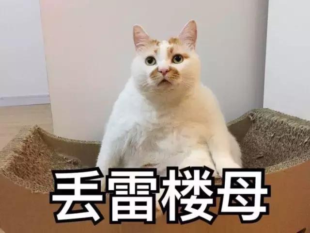 那些年玩过的网游,那些年玩过网游