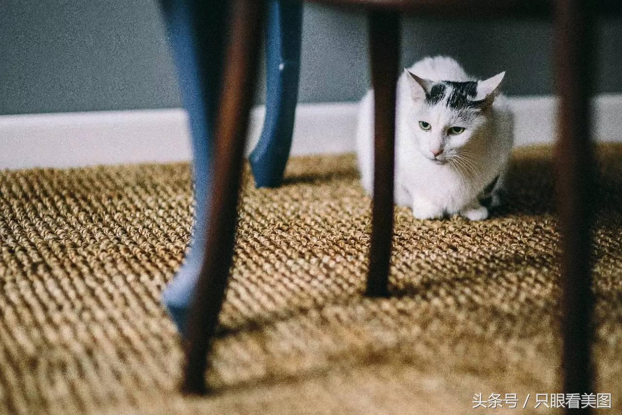 装修选水管关注哪些,装修防火材料选用一般原则是什么