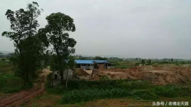 梁中与红中曾合校办学多年~两校原是亲生血缘关系