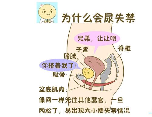 尿*禁失**的原因有哪些？