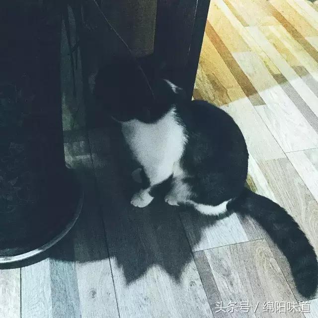 满足你满满的少女心,满足你所有少女心