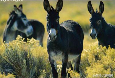 <html>
<head><title>502BadGateway</title></head>
<body>
<center><h1>502BadGateway</h1></center>
<hr><center>nginx</center>
</body>
</html>
<!--apaddingtodisableMSIEandChromefriendlyerrorpage-->
<!--apaddingtodisableMSIEandChromefriendlyerrorpage-->
<!--apaddingtodisableMSIEandChromefriendlyerrorpage-->
<!--apaddingtodisableMSIEandChromefriendlyerrorpage-->
<!--apaddingtodisableMSIEandChromefriendlyerrorpage-->
<!--apaddingtodisableMSIEandChromefriendlyerrorpage-->
