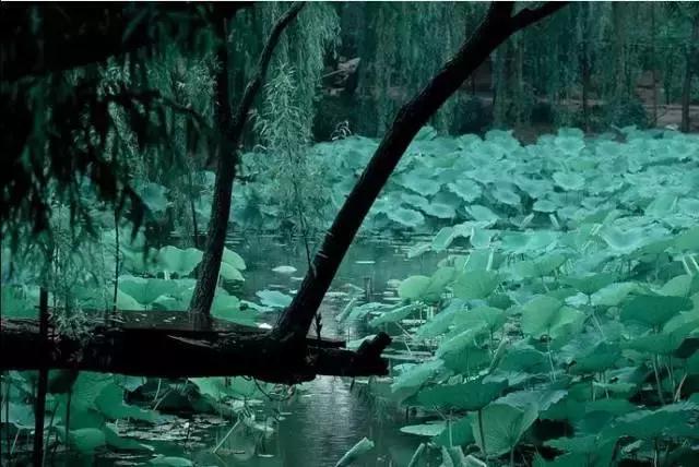 下雨成都周边好玩的地方,成都市下雨哪里室内好耍的