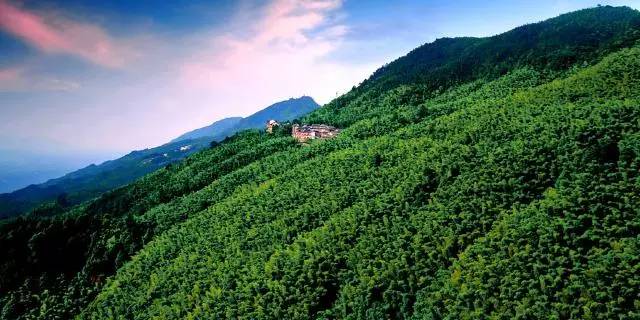 2022免重庆门票景区详细名单公布,重庆免费18个景区