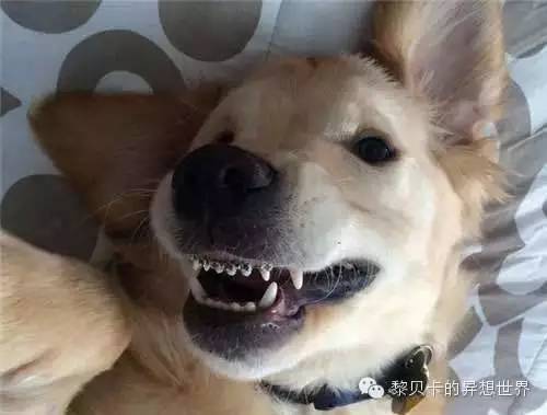 她们说||那些年整牙吞下的血和泪，终于换来最开怀的大笑