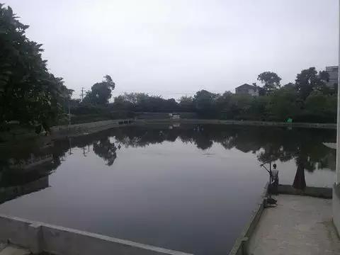 南岸区适合游玩的乡村,南岸乡村旅游