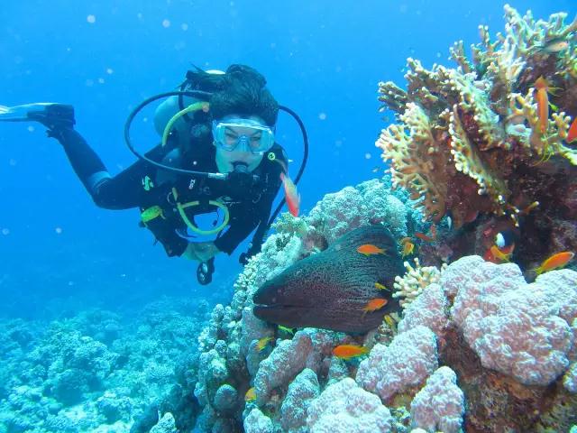 想去海岛旅游怎么办,去海边度假姨妈要来怎么办