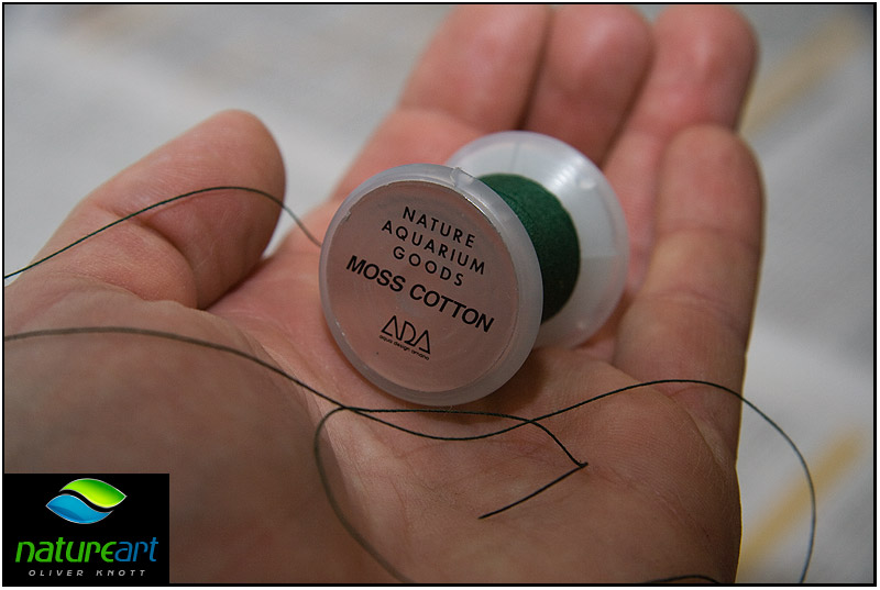 ada水草1.5米缸造景教程,oliverknott是什么