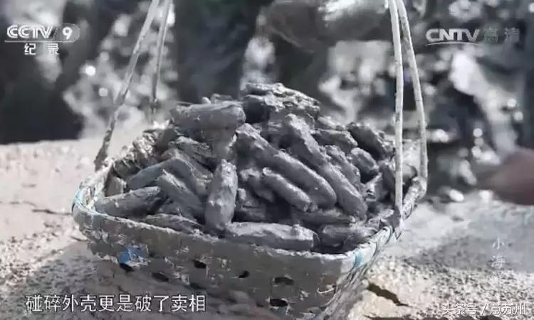 舌尖上的中国之麻辣小海鲜,舌尖上的中国小海鲜
