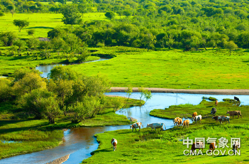 砥砺奋进的五年视频,塞罕坝奋斗历程2005年