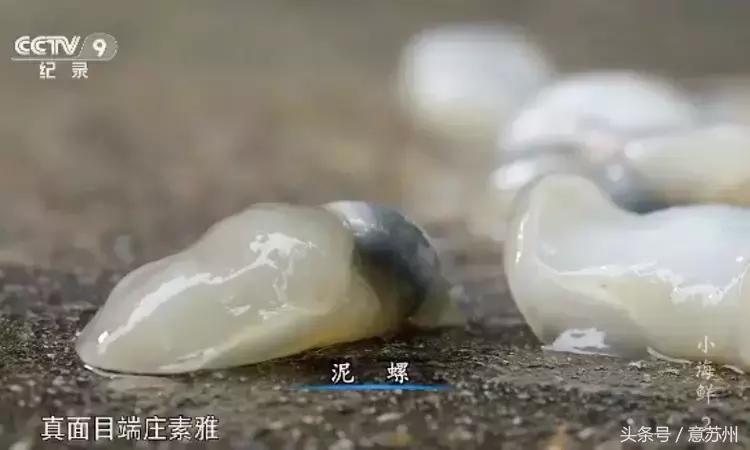 舌尖上的中国之麻辣小海鲜,舌尖上的中国小海鲜