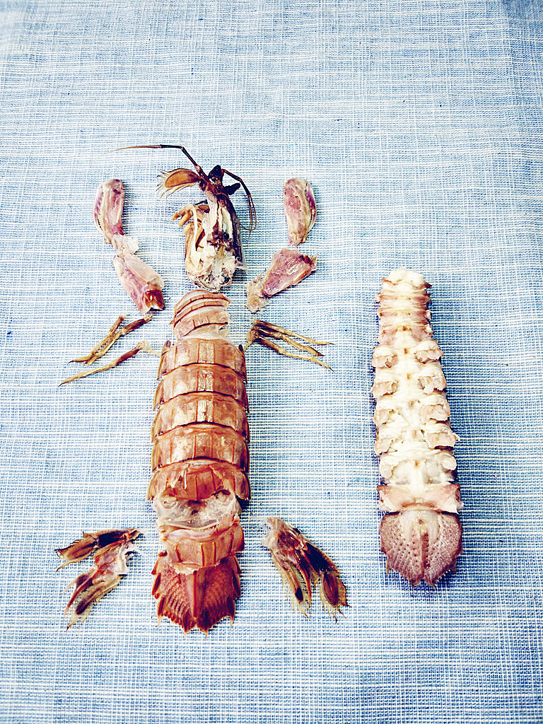 虾爬子怎么去壳,怎么剥皮皮虾的壳不扎手