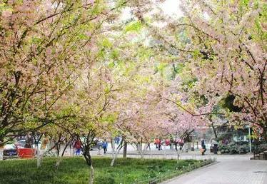 下雨成都周边好玩的地方,成都市下雨哪里室内好耍的