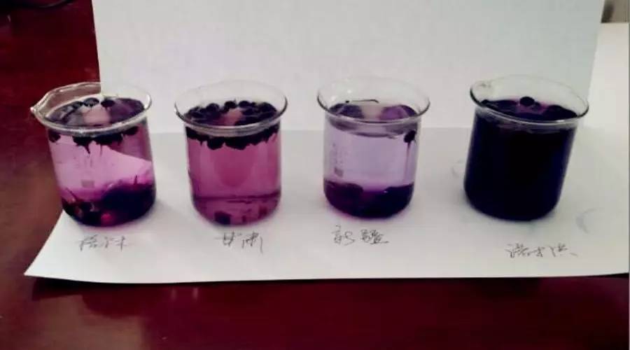 对于黑枸杞你真的了解吗,关于黑枸杞的8大误区