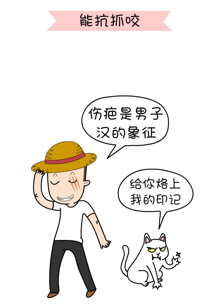 关于一个铲屎官和四只猫的漫画,铲屎官照顾猫的漫画
