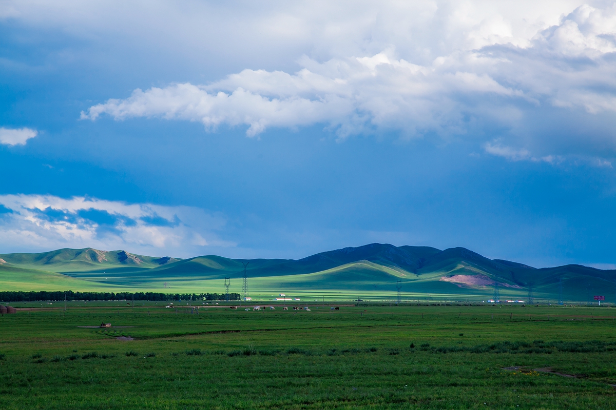 去内蒙古必须要知道什么知识,为什么那么多人去内蒙