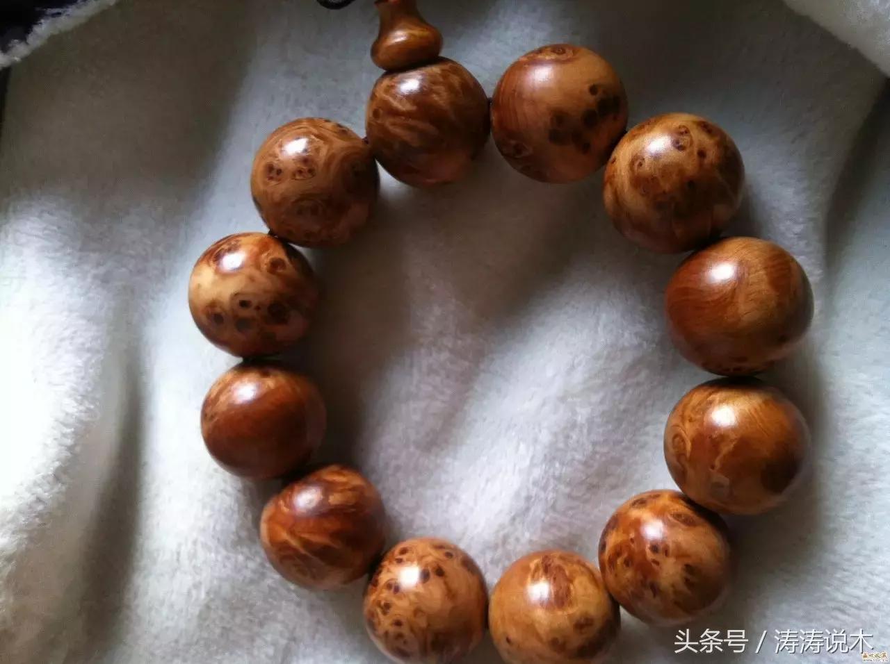 崖柏护理方法,崖柏保护条例