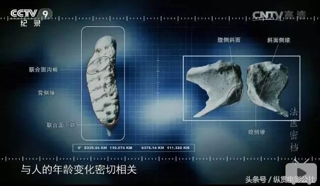 这么好的国产片，出来一部追一部！