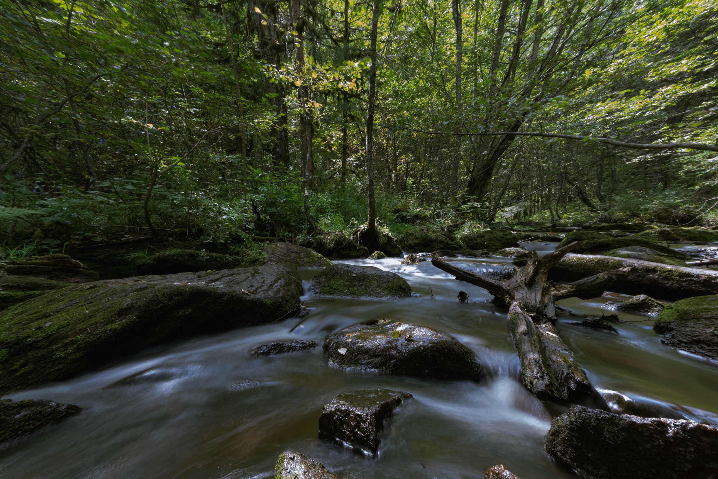 黑龙江自驾游美食攻略,黑龙江环线自驾游攻略