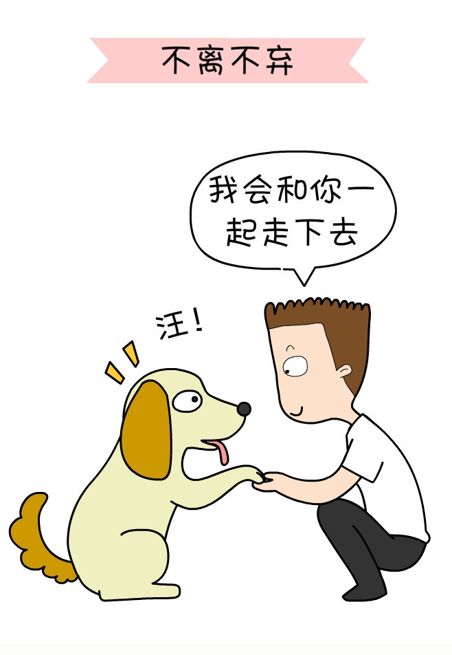 关于一个铲屎官和四只猫的漫画,铲屎官照顾猫的漫画