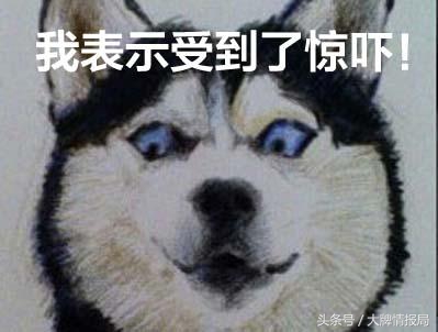 网曝林志玲因母亲生病身材暴瘦,林志玲被疑修脸