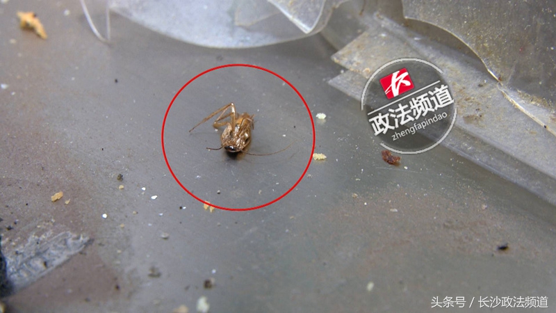 河西人人乐超市,天津河东区人人乐超市还在营业吗