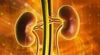 “特殊药物”治疗过敏性紫癜，功效显著