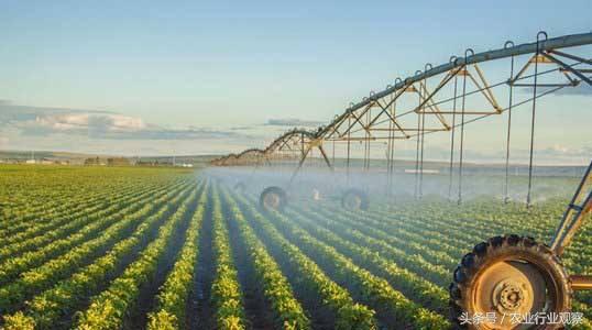 大学生返乡创业案例,带你走进100个真实的返乡创业故事