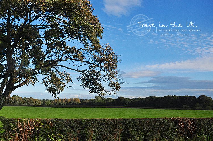 曼彻斯特老特拉福德球场航拍,曼彻斯特老特拉福德球场