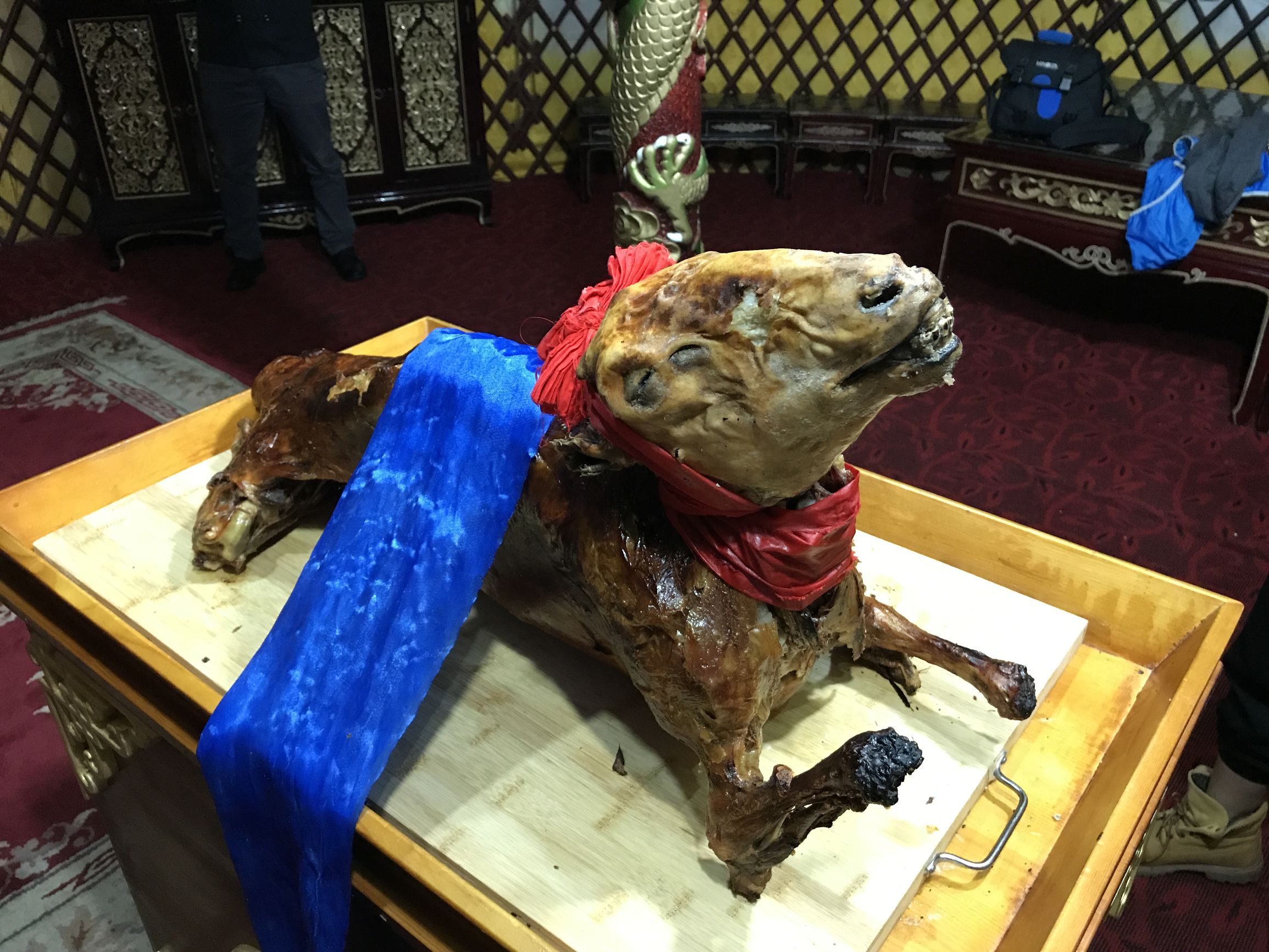 去内蒙古必须要知道什么知识,为什么那么多人去内蒙