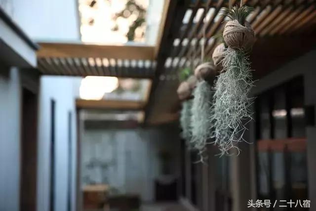 一家小而精的民宿,这家仅有两间房的民宿