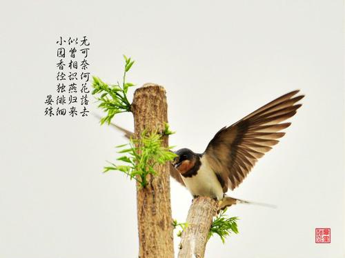 似曾相识梦境,为什么感觉梦境似曾相识