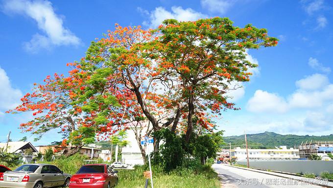 塞班岛美食攻略,塞班特色美食攻略