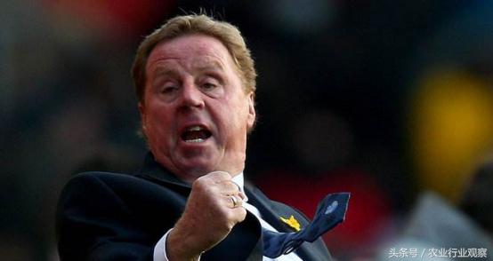 大学生返乡创业案例,带你走进100个真实的返乡创业故事