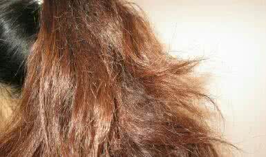 头发干枯用什么护理头发,如何护理干燥受损的头发