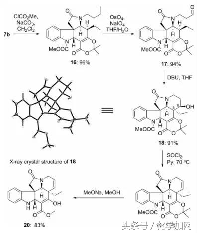 云南大学：复杂天然产物(-)-Vindorosine的全合成