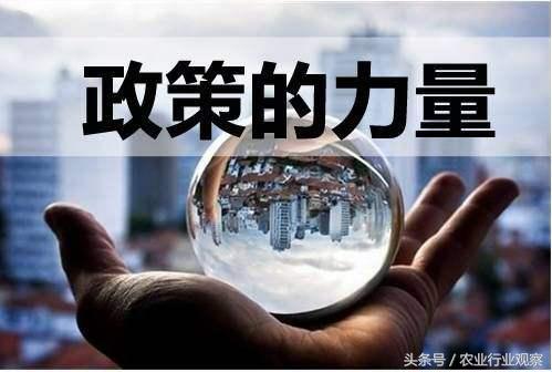 大学生返乡创业案例,带你走进100个真实的返乡创业故事