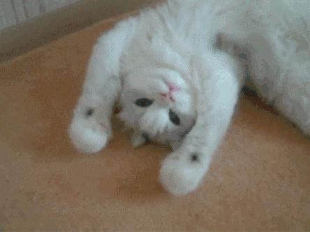 高分屏软件界面模糊,高分屏模糊问题解决了吗