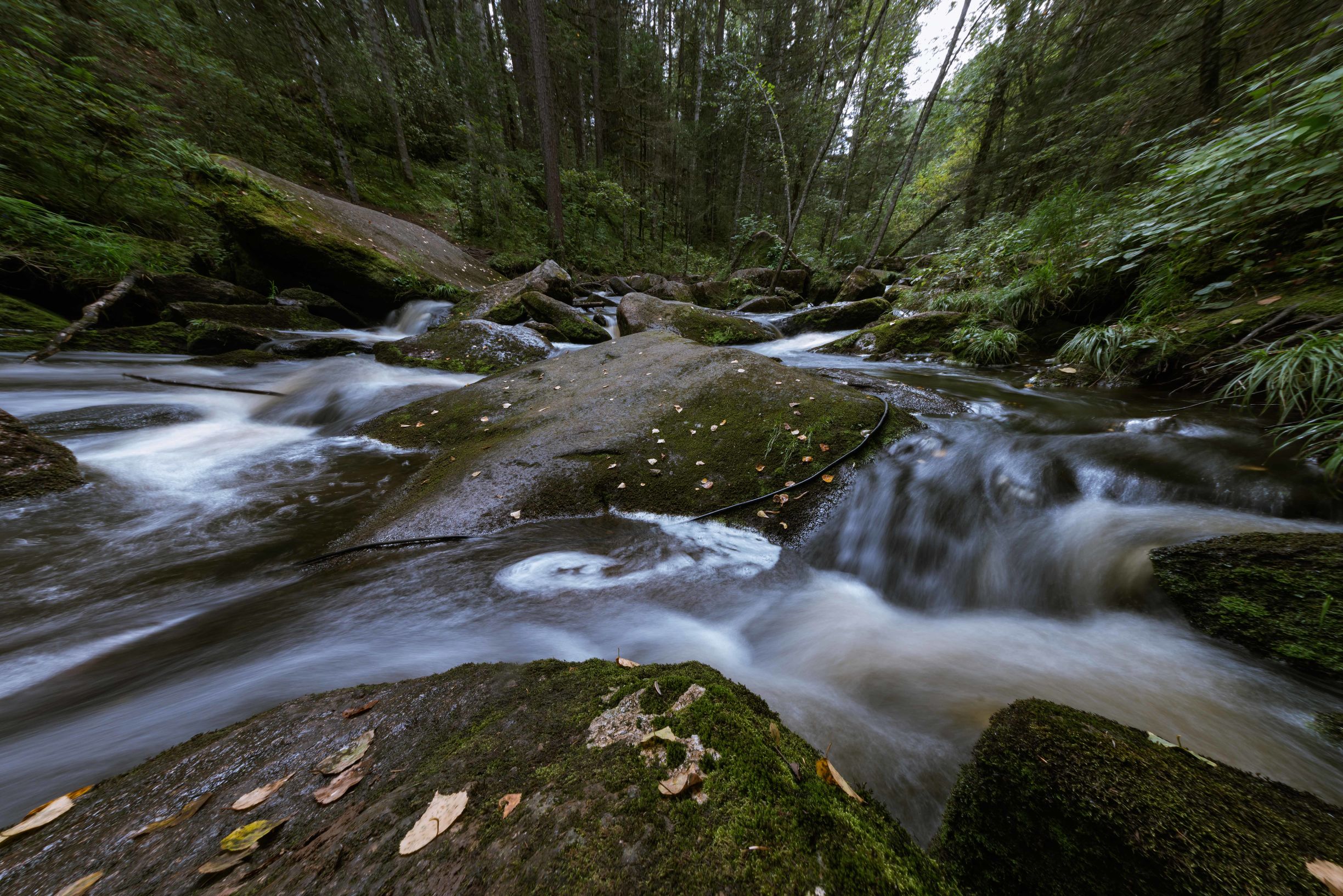 黑龙江自驾游美食攻略,黑龙江环线自驾游攻略