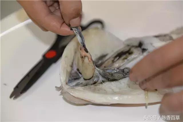 墨汁能做什么,墨汁能做什么小吃