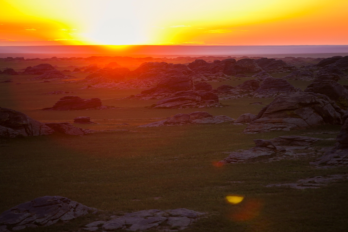 去内蒙古必须要知道什么知识,为什么那么多人去内蒙