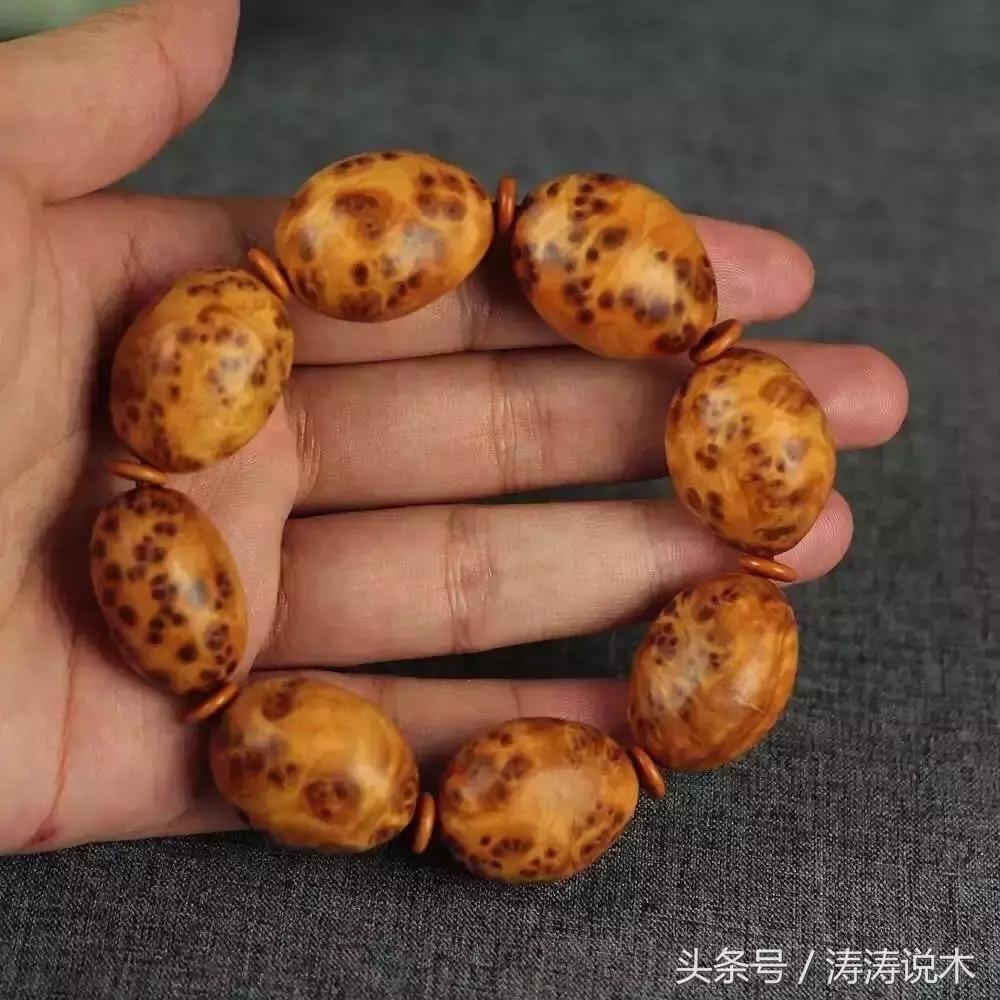 崖柏护理方法,崖柏保护条例