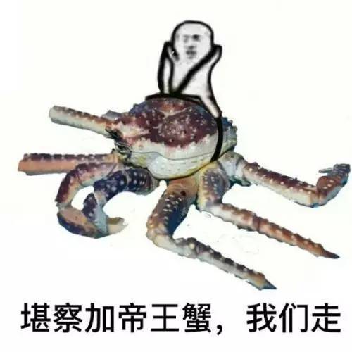 腿上长了这种包千万别瞎挤，谨慎猝死找上你！