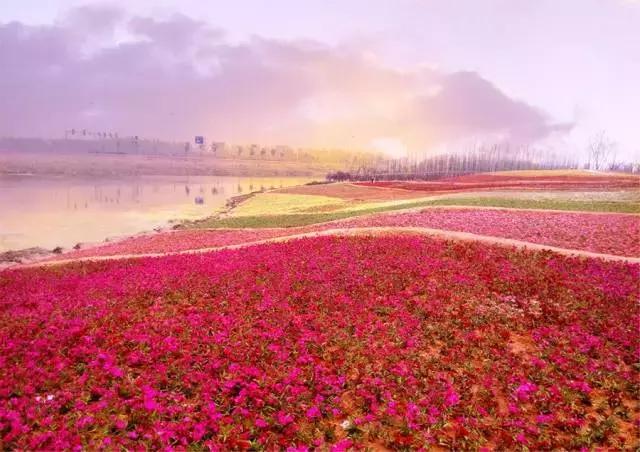 金华有哪些景点好玩的地方,金华游玩的好去处