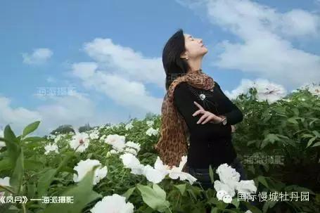 专业角度看凤丹各器官特点，带你全面科学认识高淳四宝-白牡丹